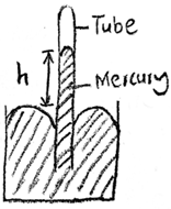 Why Mercury Doesn't Completely Fill the Barometer Tube
